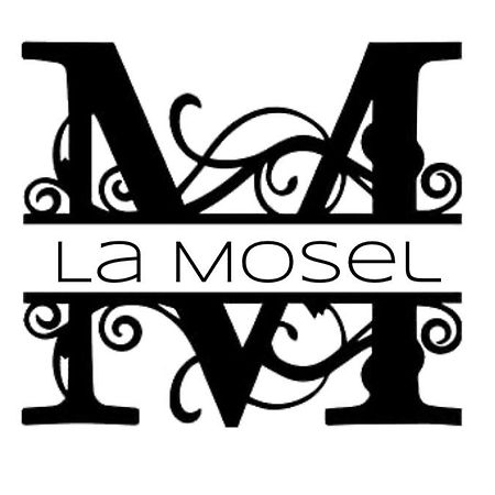 Weinhof Winningen Traumwohnung Im „La Mosel• Luaran gambar